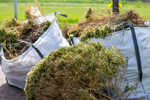 Best Dumpster Rental Services  in Tyro, NC